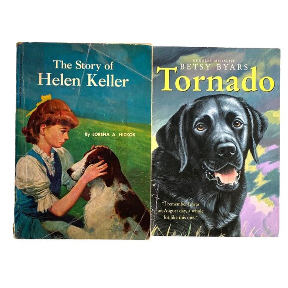 Kids Paperback Chapter Book Lot of 9 - Picture 7 of 10